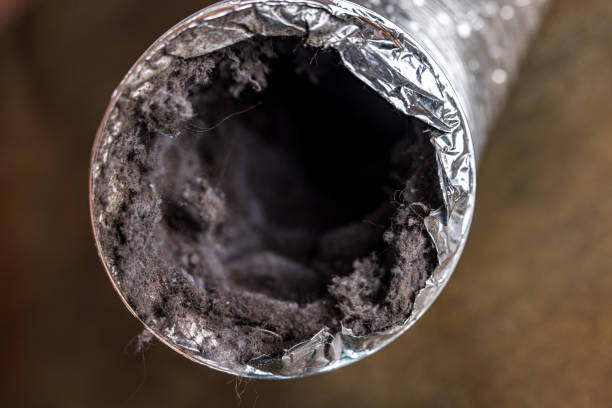 Affordable HVAC Duct Cleaning in TX