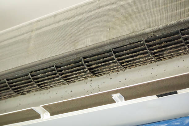 Best Emergency Air Duct Cleaning  in Luling, TX